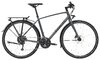 Trek FX 2 Disc EQ satin lithium grey S