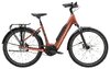 Trek District+ 4 Lowstep pennyflake 725 L